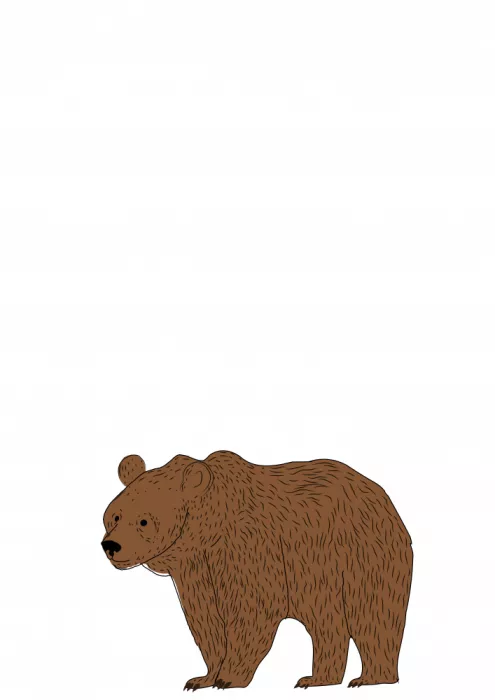 Nicholas: Braunbär