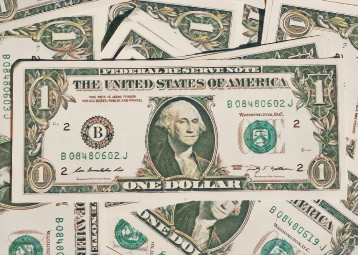 IV, Studio Pictufy: Dollar Bill Greenback
