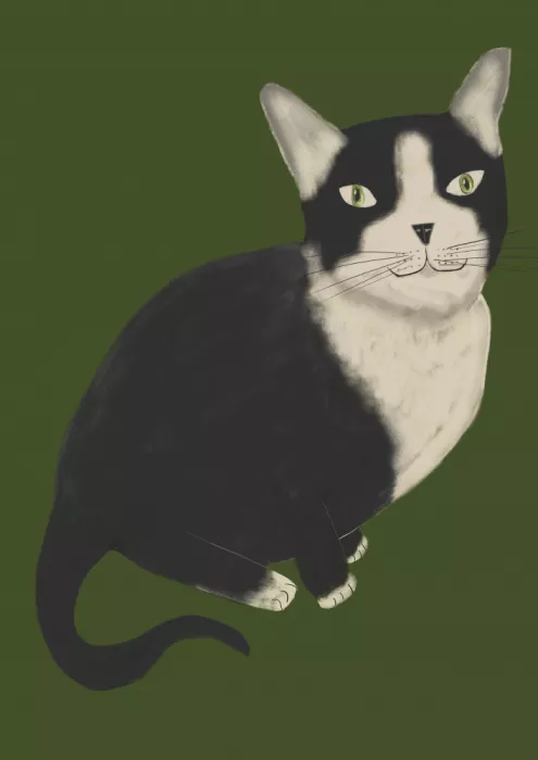 Bursic, Sharyn: Signor Gatto in Smoking