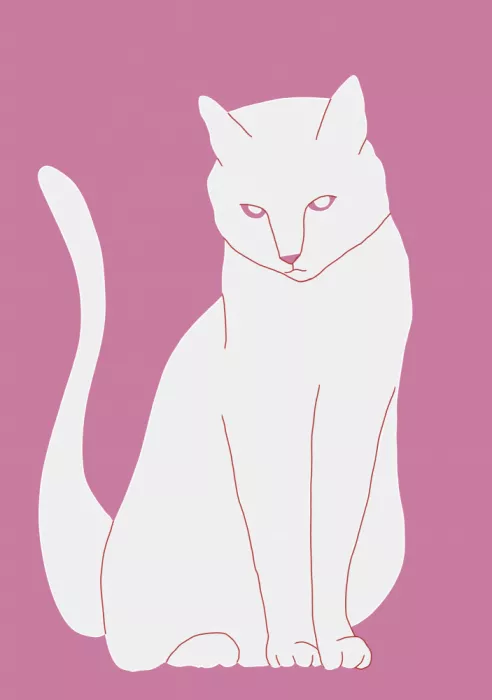 Bursic, Sharyn: Gatto bianco e rosa