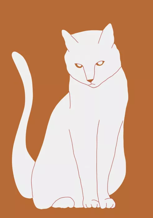 Bursic, Sharyn: White and orange cat