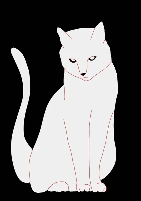 Bursic, Sharyn: Gatto bianco e nero
