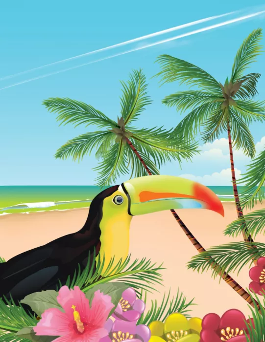 Nicholas: Tucano su una spiaggia