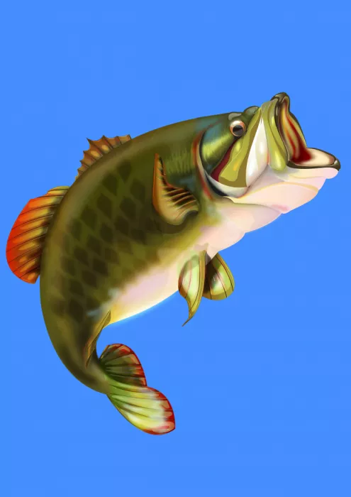 Nicholas: Lubina