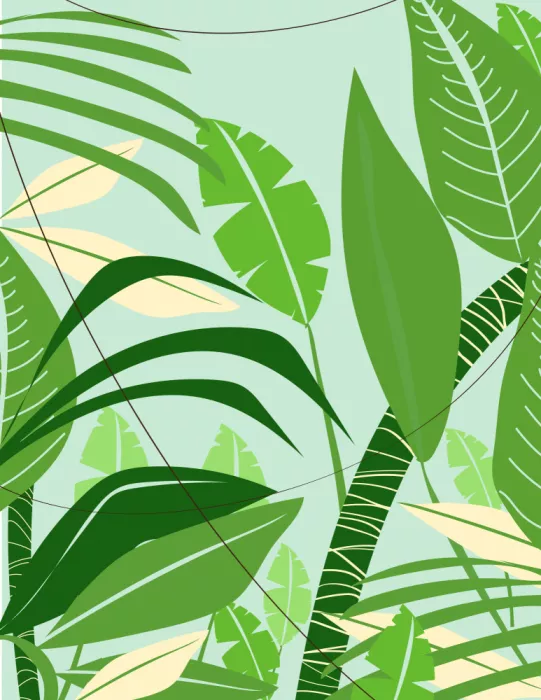 Nicholas: Foglie tropicali