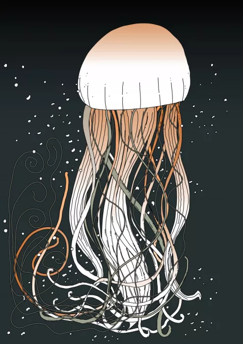Nicholas: Medusa