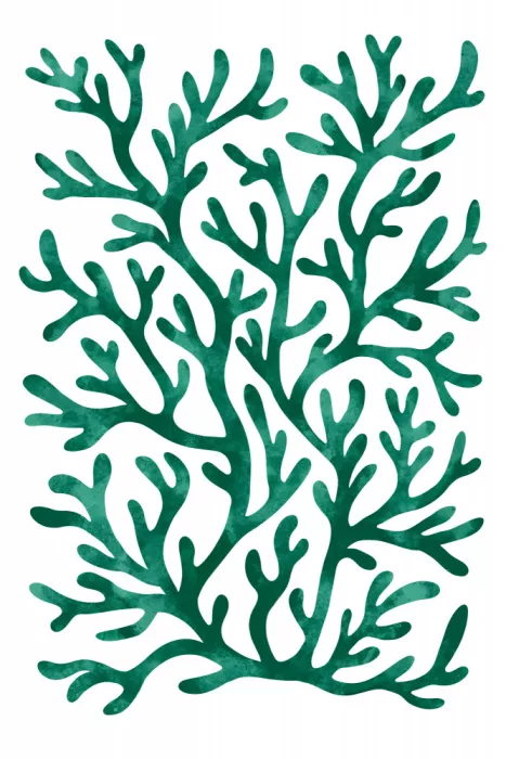 EMELIEmaria: Motif corail II
