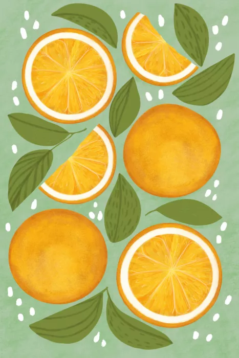 EMELIEmaria: Oranges