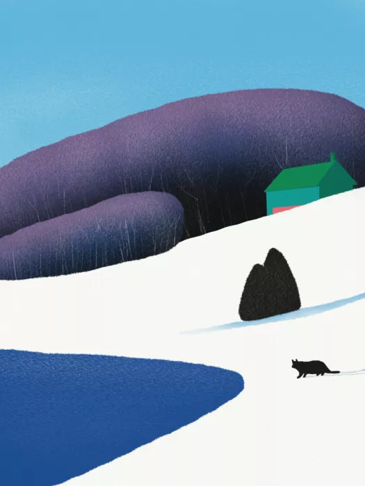 Dean, Little: Purple hue forest in winter