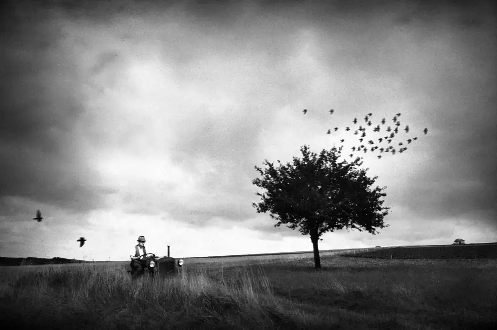 Droste, Holger: Emilia Romagna