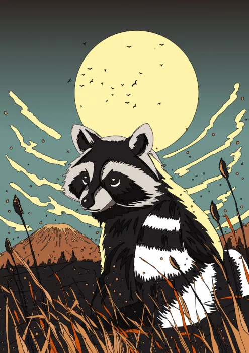 Nicholas: Waschbär Mondaufgang