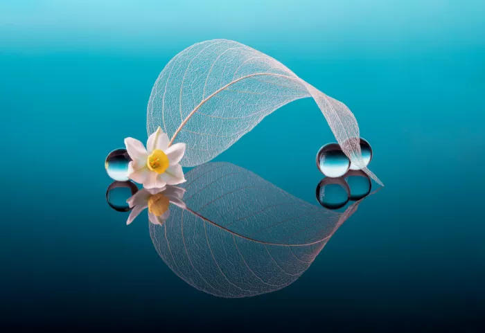 GaoSL: Flor, hoja y perlas