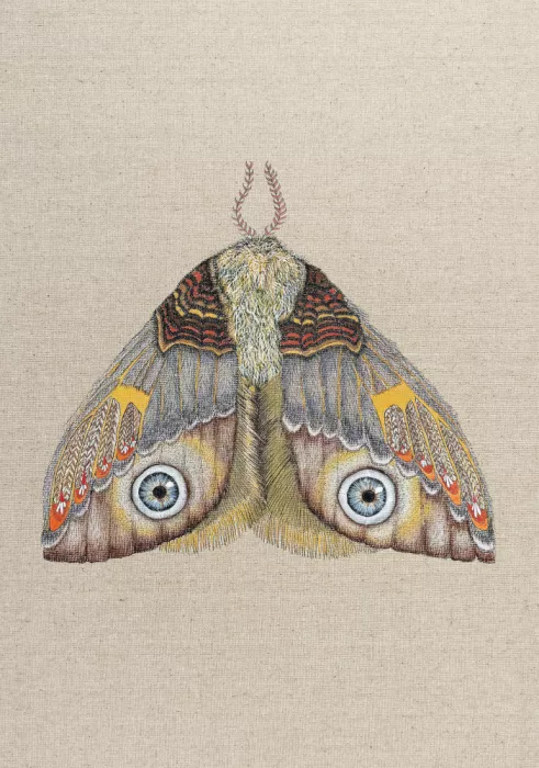 ZAM.ROD: Zrmoth11 Print 70x100