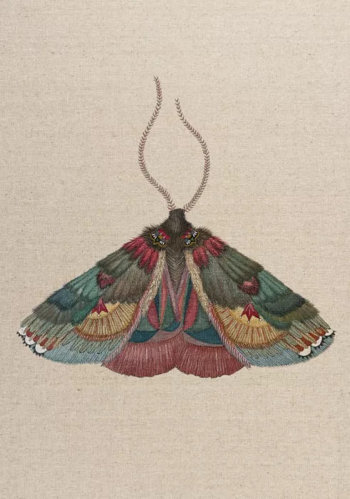 ZAM.ROD: Zrmoth20 Tisk 70x100 Copyxx