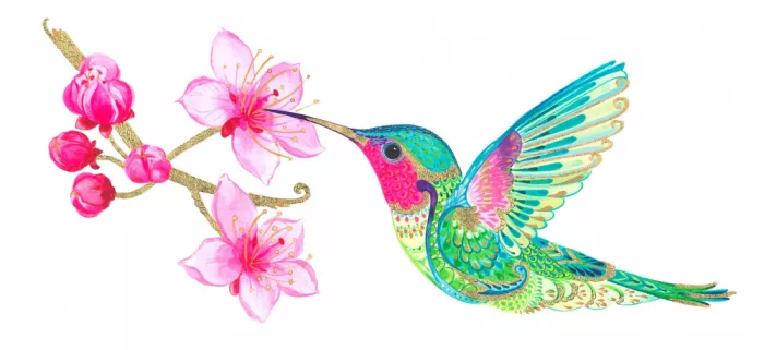 Brent, Isabelle: Colibrí y flor