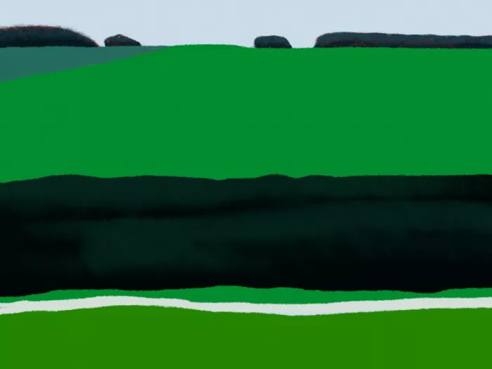 Dean, Little: Lebendige grüne Felder