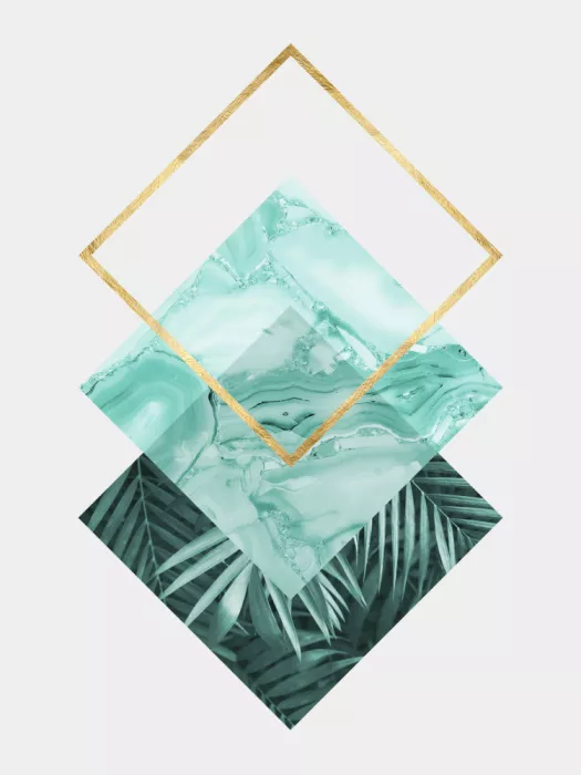 Costa, Vitor: Botanical and geometric Shape