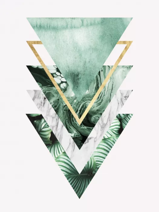 Costa, Vitor: Forma botanica e geometrica