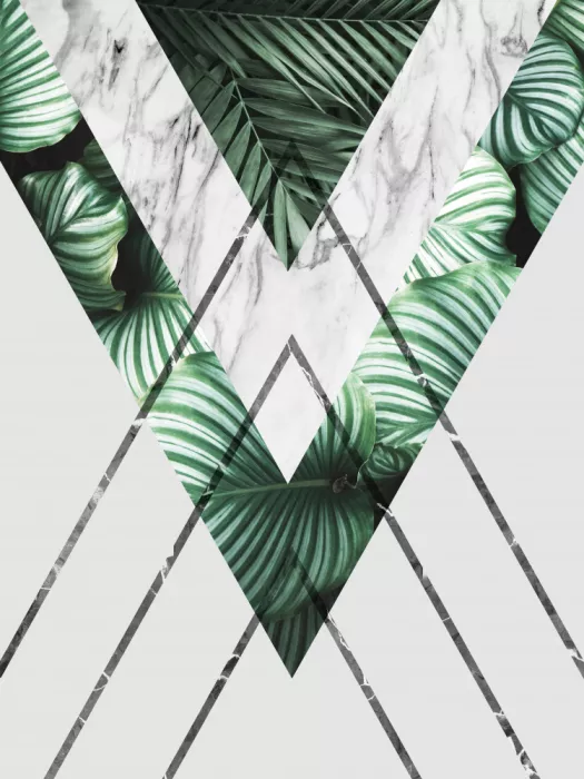 Costa, Vitor: Forma botanica e geometrica