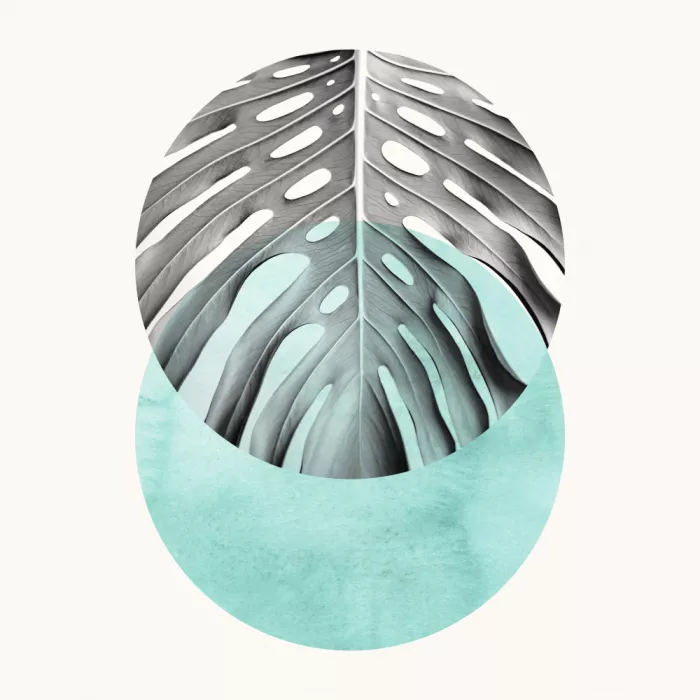 Costa, Vitor: Botanical and geometric Shape