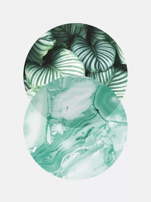 Costa, Vitor: Botanical and geometric Shape