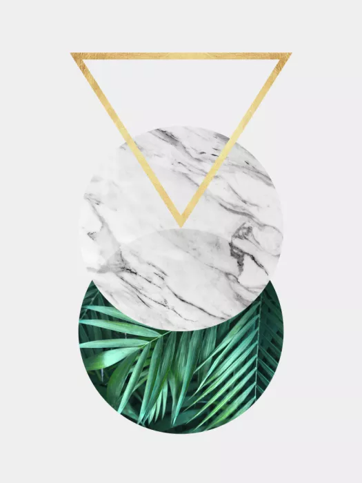 Costa, Vitor: Botanical and geometric Shape