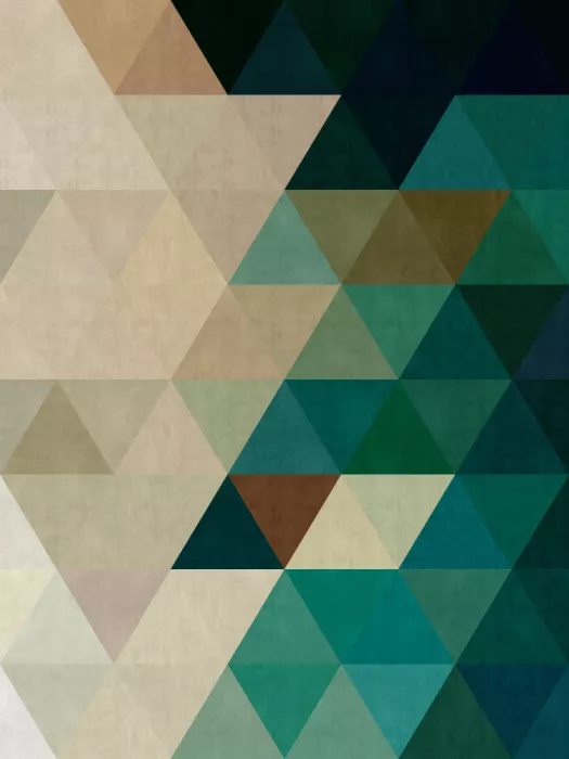 Costa, Vitor: Geometrie trojúhelníků 9