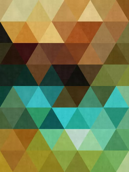Costa, Vitor: Geometry of triangles 5
