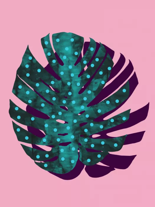 Costa, Vitor: Tropical leaf 2
