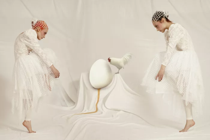 Diepenbroek, von Christine: The egg