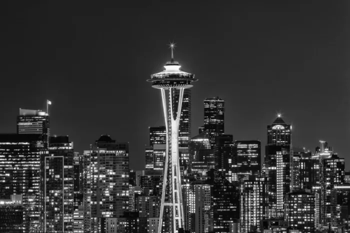 Viola, Melanie: Straordinario Skyline di Seattle di Notte | Monocromatico