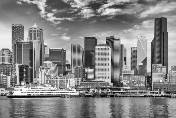 Viola, Melanie: Downtown Seattle | Monocromatico