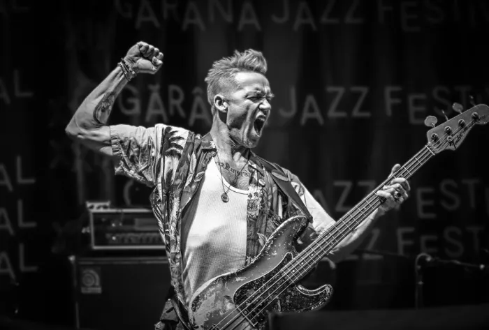 Nedici, Dragoslav: Wojtek Mazolewski