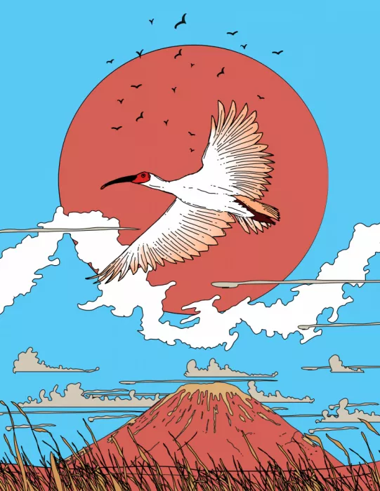 Nicholas: Uccello maestoso in volo