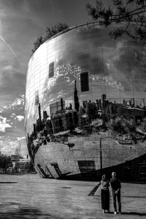Valckx, Gerard: The Big Mirror