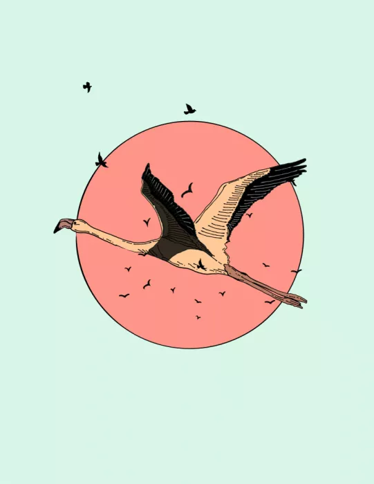 Nicholas: Fenicottero in volo