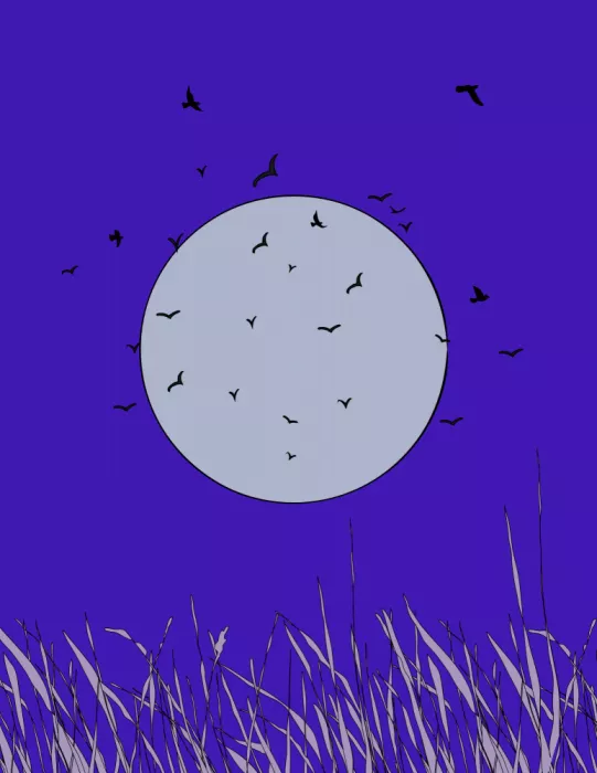 Nicholas: Murciélagos a la luz de la luna