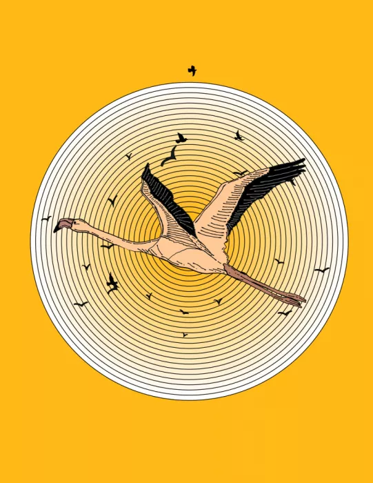 Nicholas: Fenicottero in volo