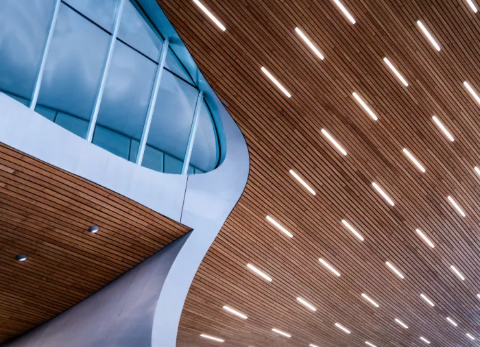 Keurlinckx, Els: Plafond de bois