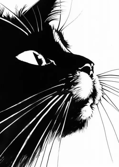 Jaszke, Justyna: Schwarze Katze (258)