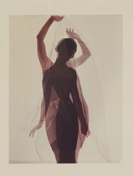 Bulow, Henrik: Silhouette d