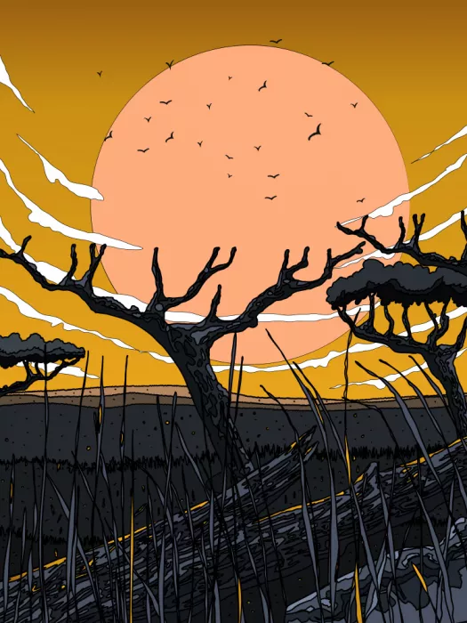 Nicholas: Sunset In The Savannah