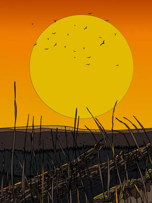Nicholas: Vibrant Sunset With A Large Sun