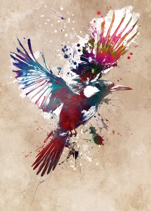 Jaszke, Justyna: Bird Magpie