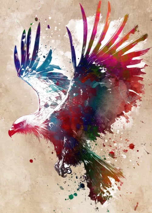 Jaszke, Justyna: Aquila