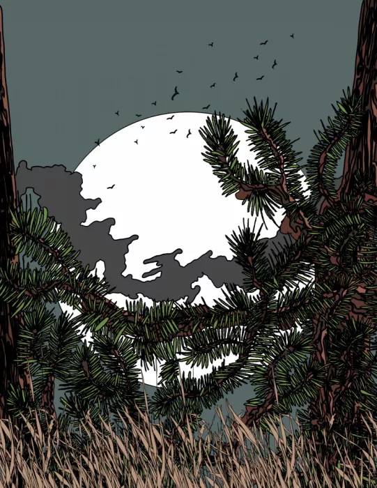 Nicholas: Luz de luna en el bosque de pinos