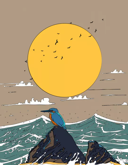 Nicholas: Martín pescador sereno posado en rocas