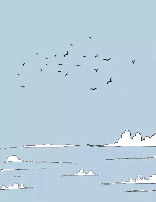 Nicholas: Cielo sereno con pájaros dispersos