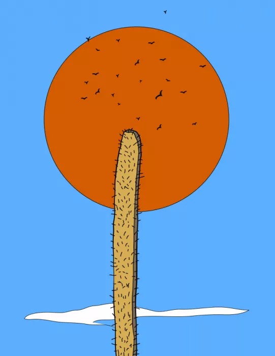 Nicholas: Cactus Estallido Solar