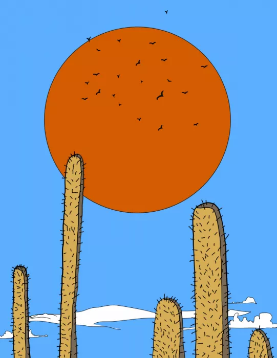 Nicholas: Cielo del solstizio del deserto